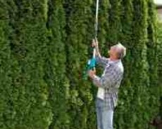 Teleskopik akkumulyatorlu formaverən Gardena 8881